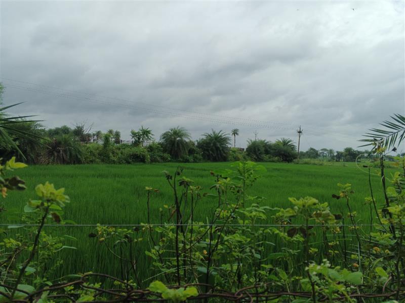 Photo Gallery